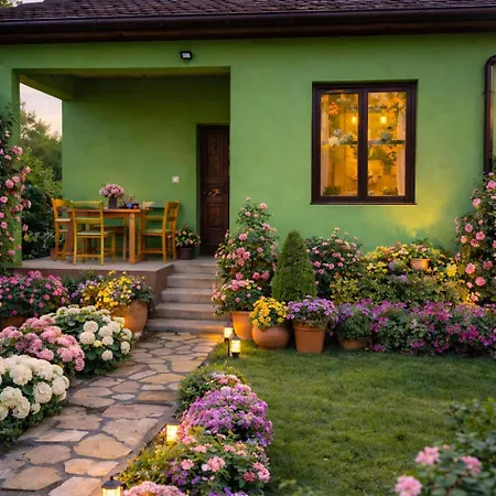 Amanet House - Breza *