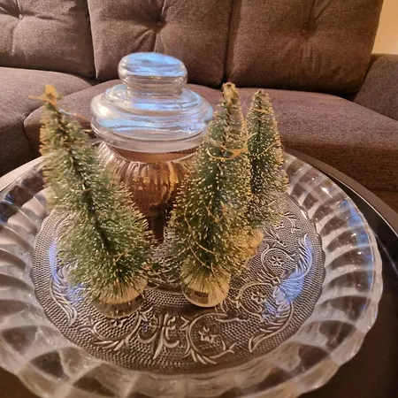 Amanet House - Breza Lejlighed Zasavica