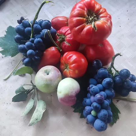 Amanet House - Breza Lejlighed Zasavica