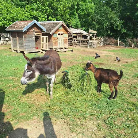 Lejlighed Amanet House - Breza *